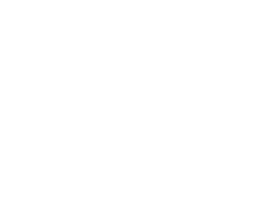 Play4n4 logo